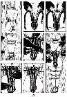 Click for large version