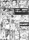 Click for large version