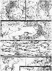 Click for large version