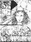 Click for large version