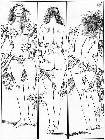 Click for large version