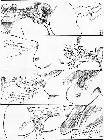 Click for large version