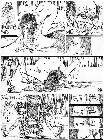 Click for large version