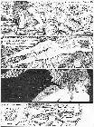 Click for large version