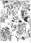 Click for large version