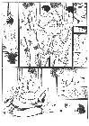 Click for large version