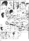 Click for large version
