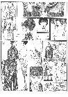 Click for large version