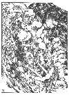Click for large version
