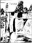 Next image