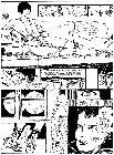 Previous image