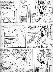 Click for large version