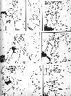 Click for large version
