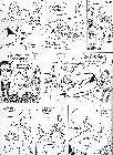 Click for large version