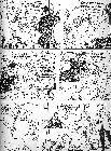 Click for large version
